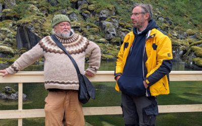 Im Hufabdruck der Götter: ein Tag voller Naturgewalten bei Dettifoss und den Solfataren