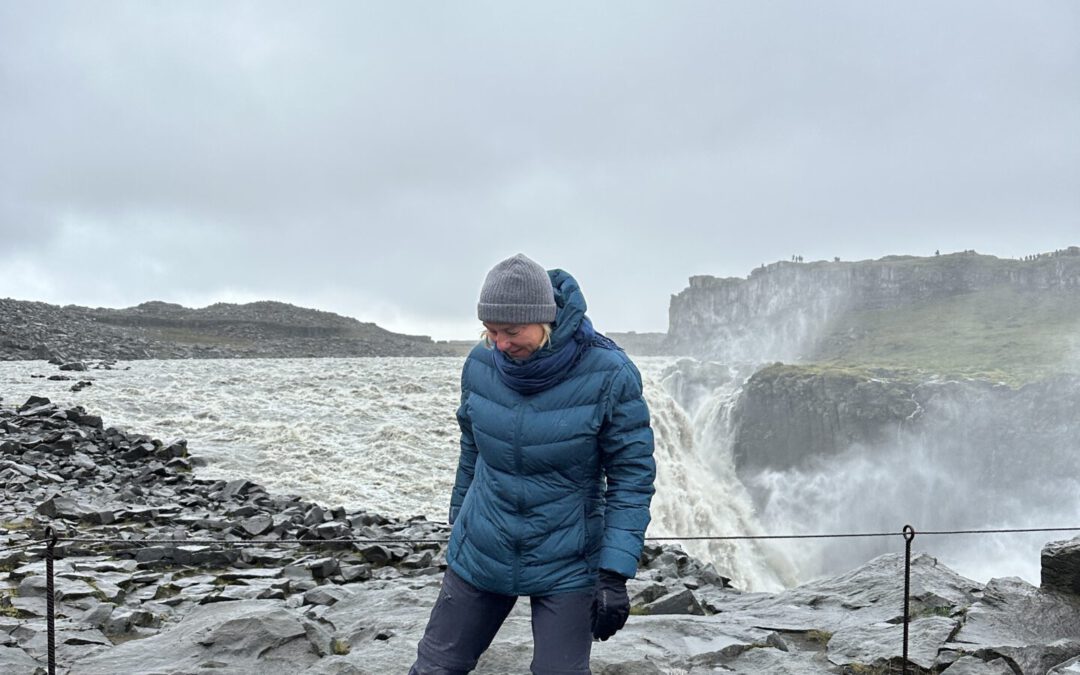 Im Hufabdruck der Götter: ein Tag voller Naturgewalten bei Dettifoss und den Solfataren