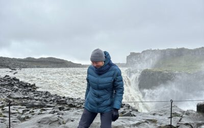 Im Hufabdruck der Götter: ein Tag voller Naturgewalten bei Dettifoss und den Solfataren