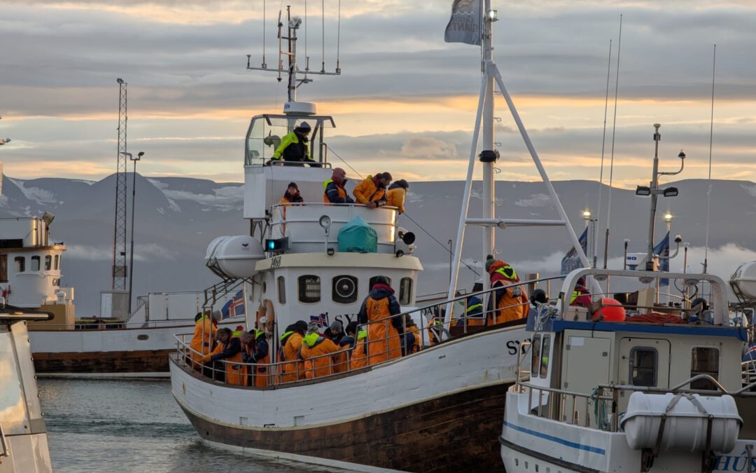 Ein Tag in Húsavík: kleine Stadt, grosse Magie