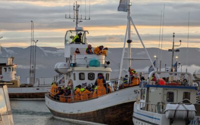Ein Tag in Húsavík: kleine Stadt, grosse Magie
